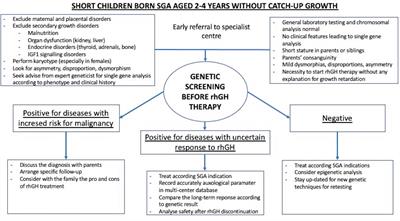 Genetic Screening for Growth Hormone Therapy in Children Small for Gestational Age: So Much to Consider, Still Much to Discover